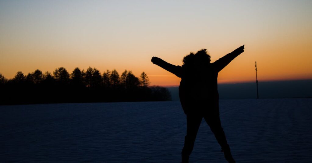A silhouette captured against a vibrant winter sunset, showcasing the joy of nature.