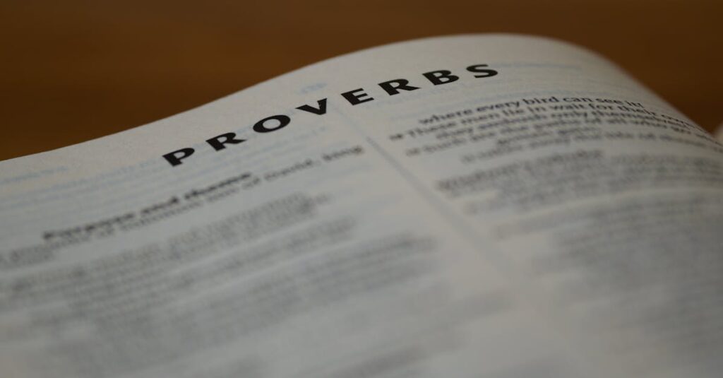 Detailed view of the Book of Proverbs page with blurred scripture.