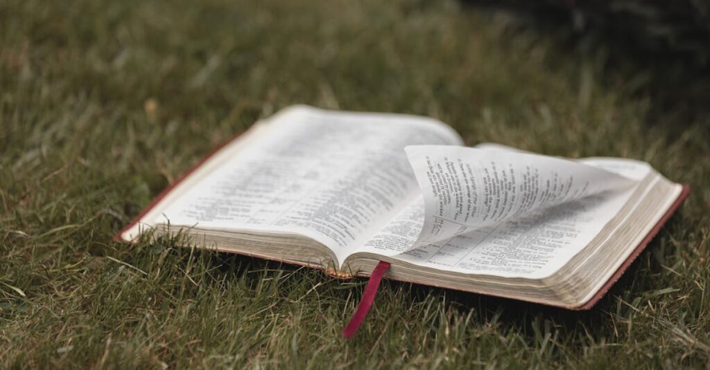 An open Bible on grassy ground, symbolizing spirituality and nature. Ideal for religious themes.