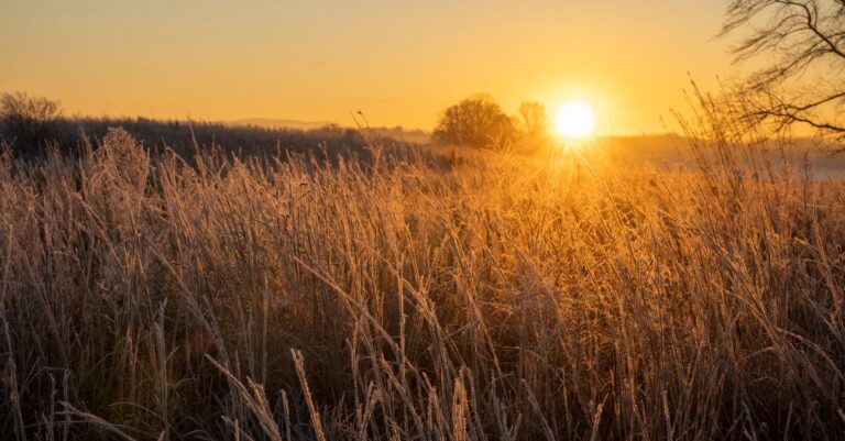 A beautiful sunrise over a frosty field in rural West Newton, Minnesota, showcasing nature's morning glow.