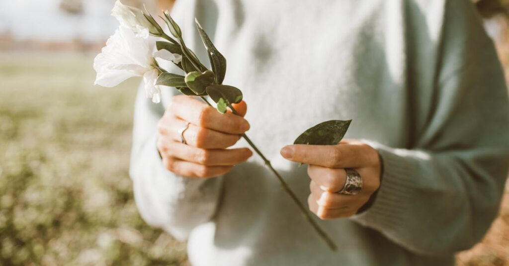 Close-up of a woman's hands holding a white flower outdoors in a sunny field.