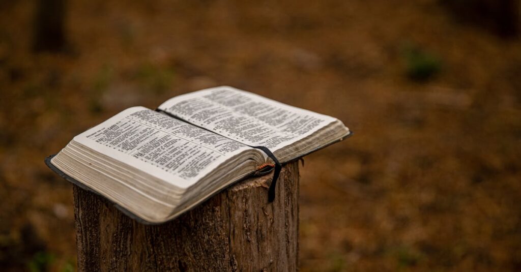 Open Bible placed on a tree stump outdoors, symbolizing faith in nature.