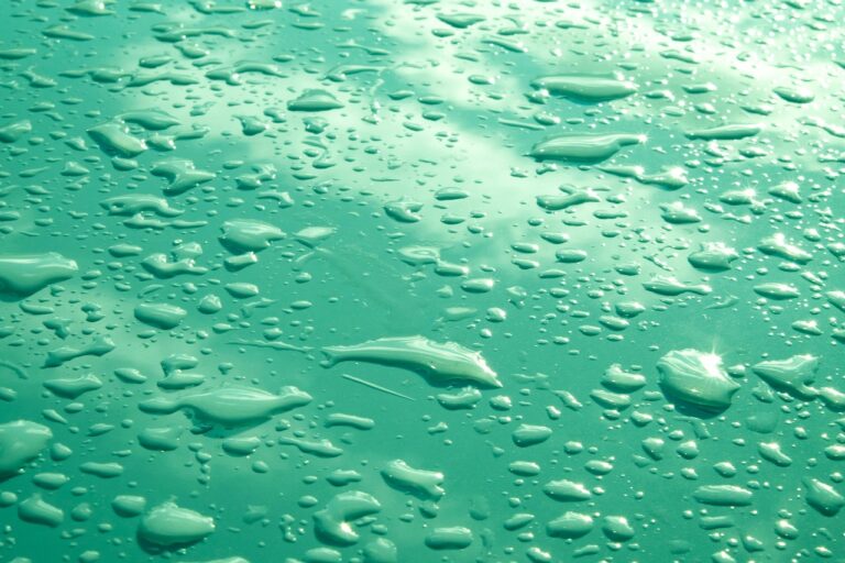 rain, nature, drops, water, water droplets, wet, closeup