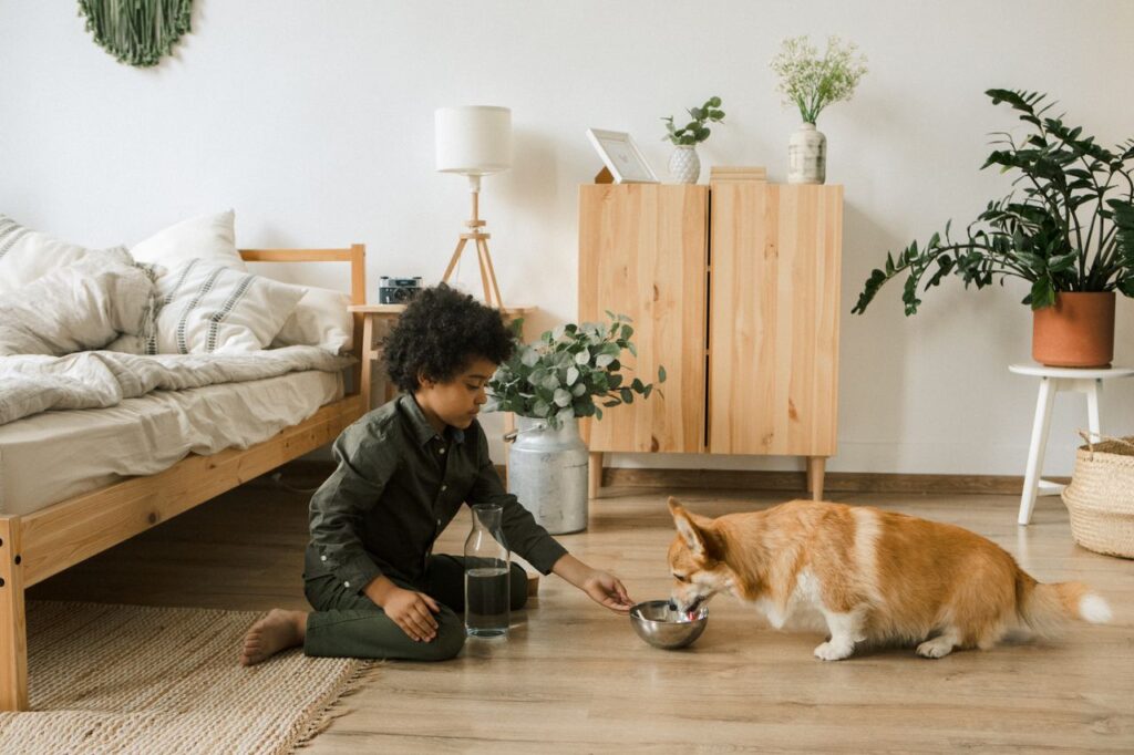 pexels-photo-5264088-5264088 Child feeding a Corgi water in a cozy bedroom with plants and natural decor.