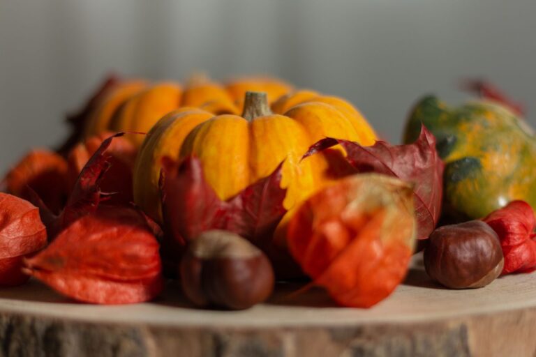 Colorful autumn display featuring pumpkins, chestnuts, and vibrant fall leaves.