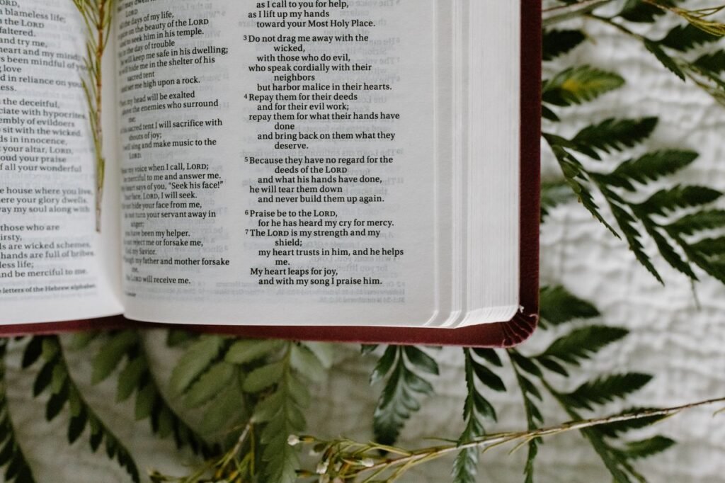 An open Bible resting on ferns, featuring scripture text. Perfect for religious themes.